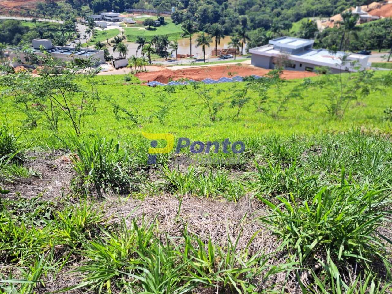 Imagem da propriedade 10095 4
