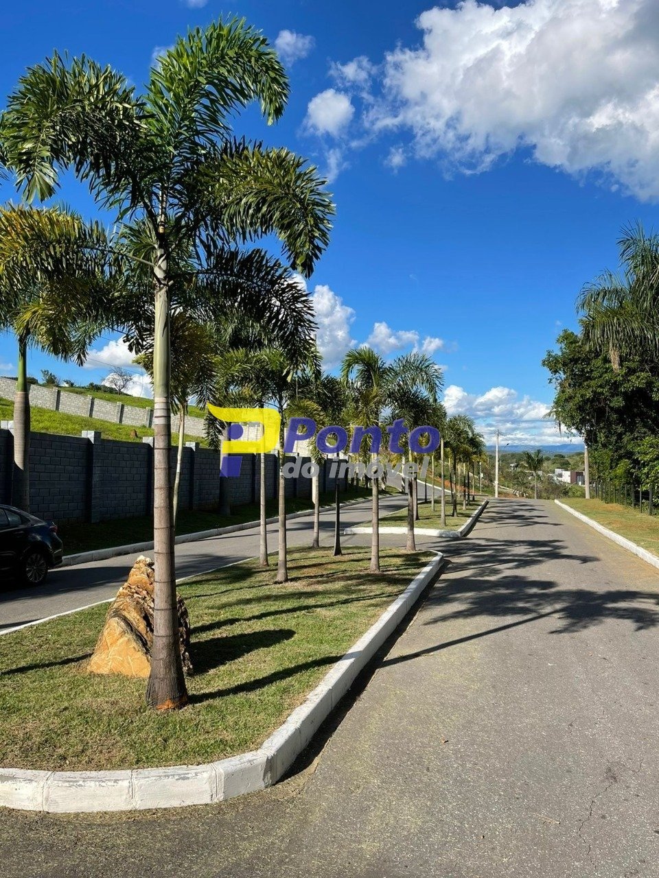 Imagem da propriedade 10095 12