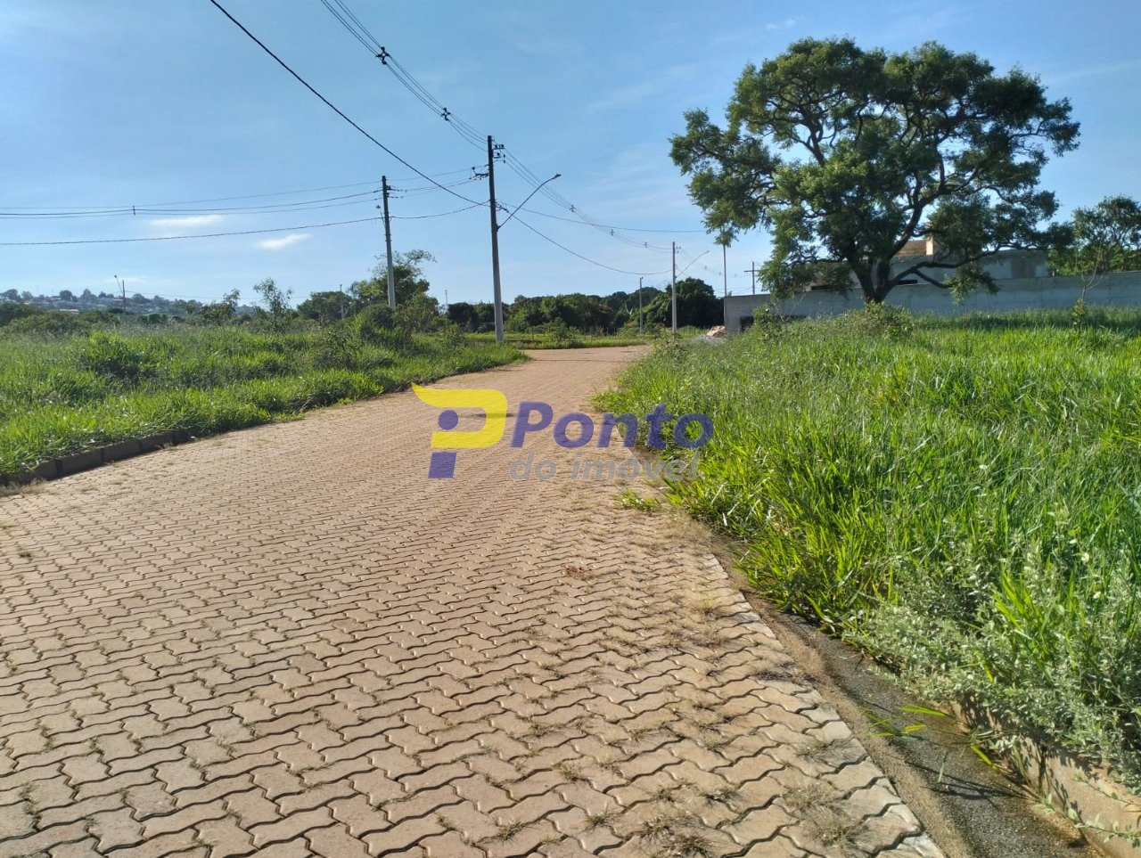 Imagem da propriedade 10230 1
