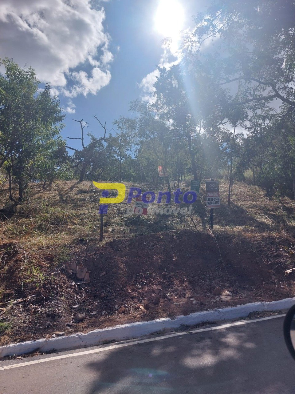 Imagem da propriedade 10473 8