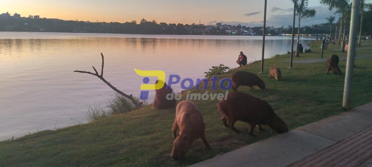 Imagem da propriedade 10474 8