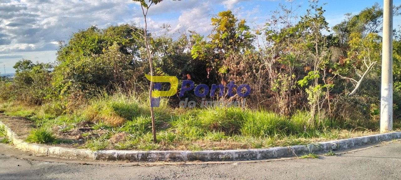Imagem da propriedade 10529 6