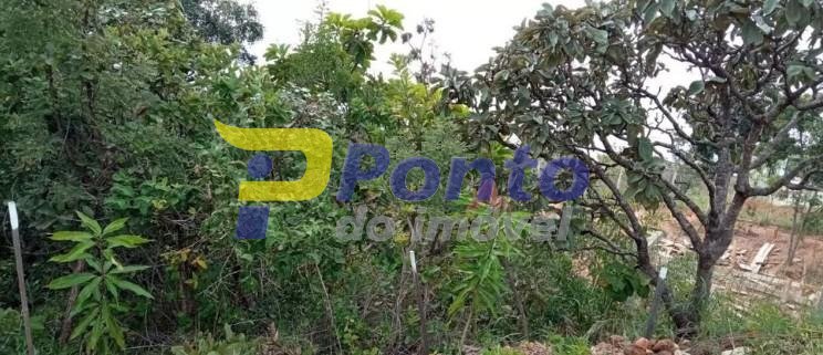 Imagem da propriedade 10620 5