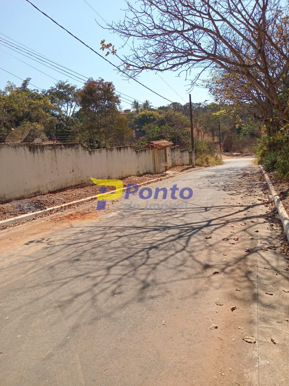 Imagem da propriedade 10746 6