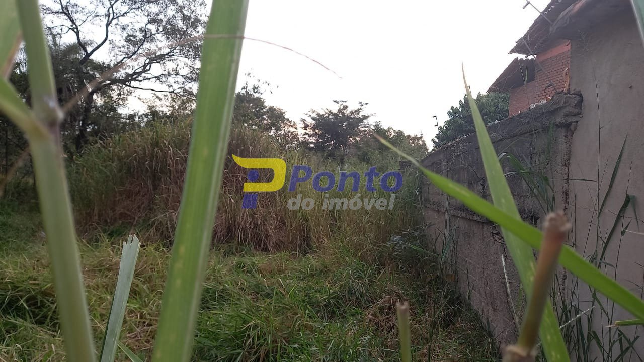 Imagem da propriedade 10752 2