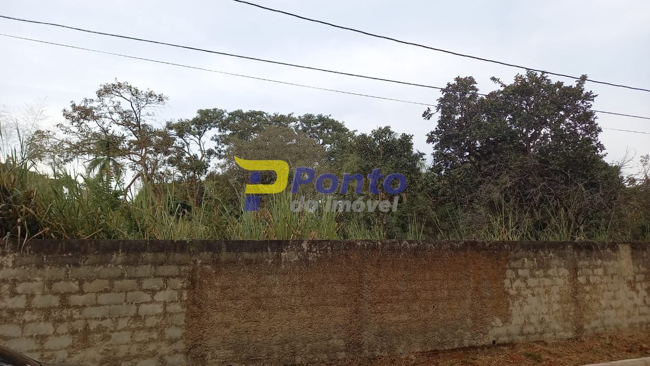 Imagem da propriedade 10752 5