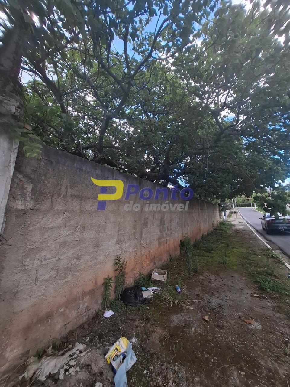 Imagem da propriedade 10819 2