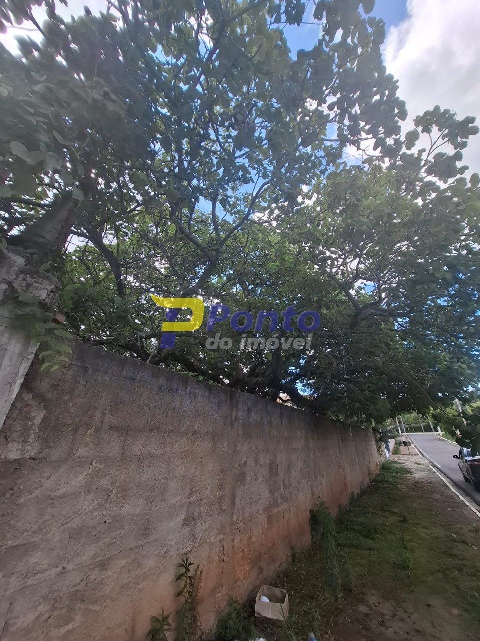 Imagem da propriedade 10819 15