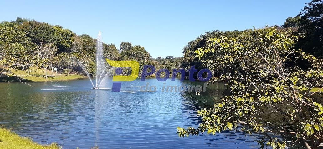 Imagem da propriedade 10973 8