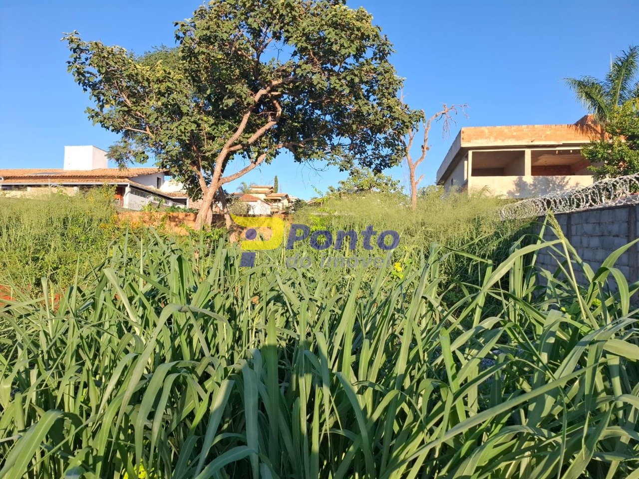 Imagem da propriedade 11026 6
