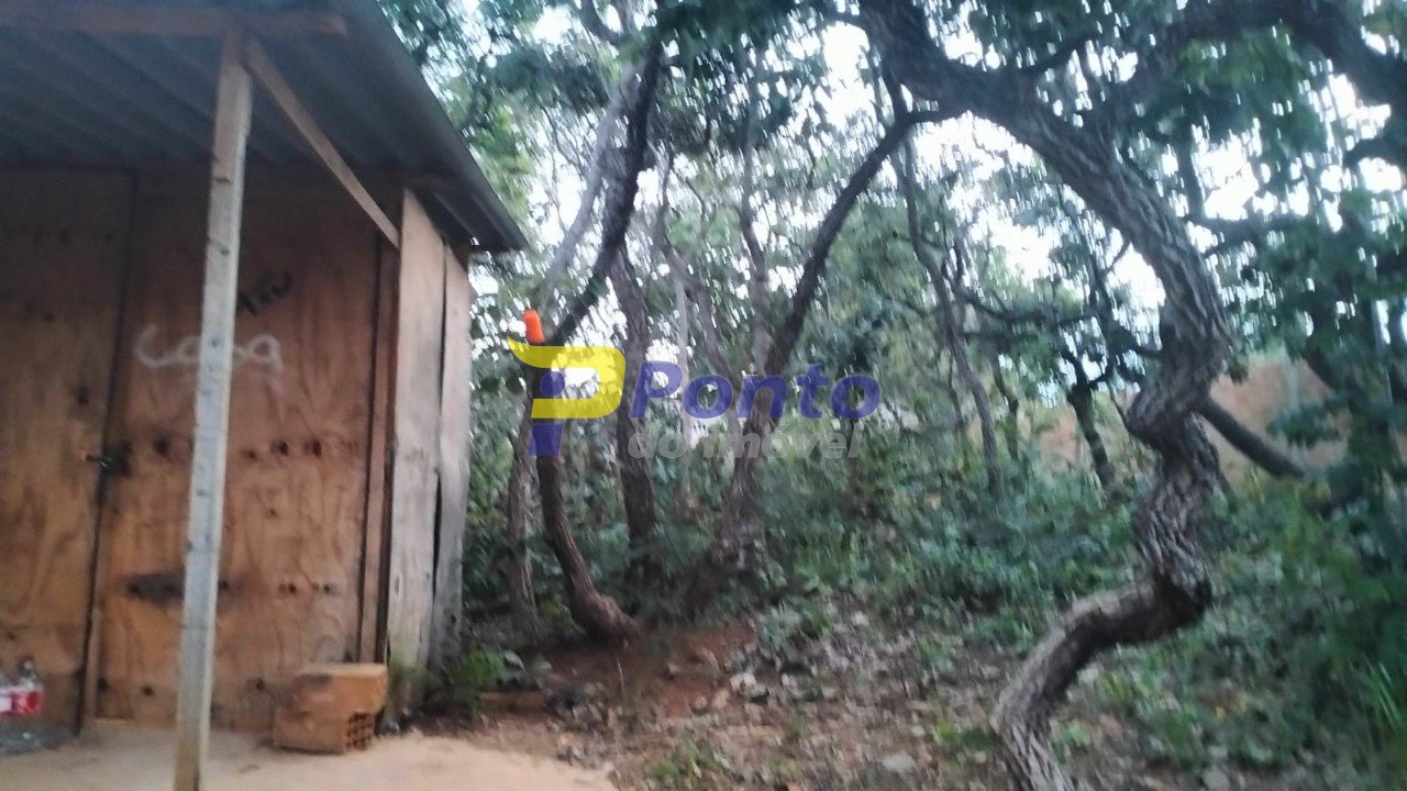 Imagem da propriedade 11034 14