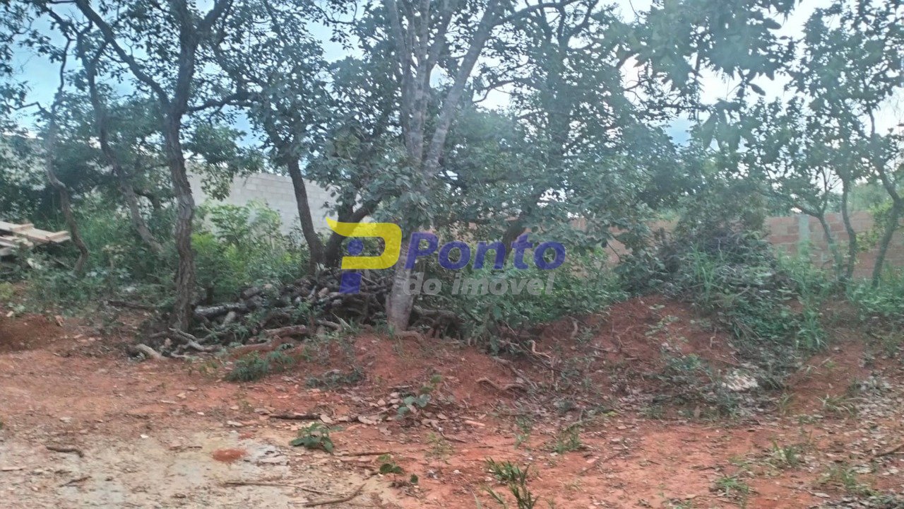Imagem da propriedade 11034 17