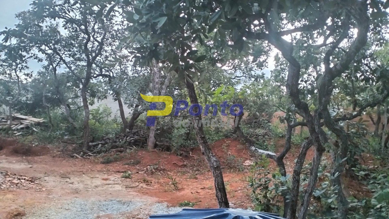 Imagem da propriedade 11034 18
