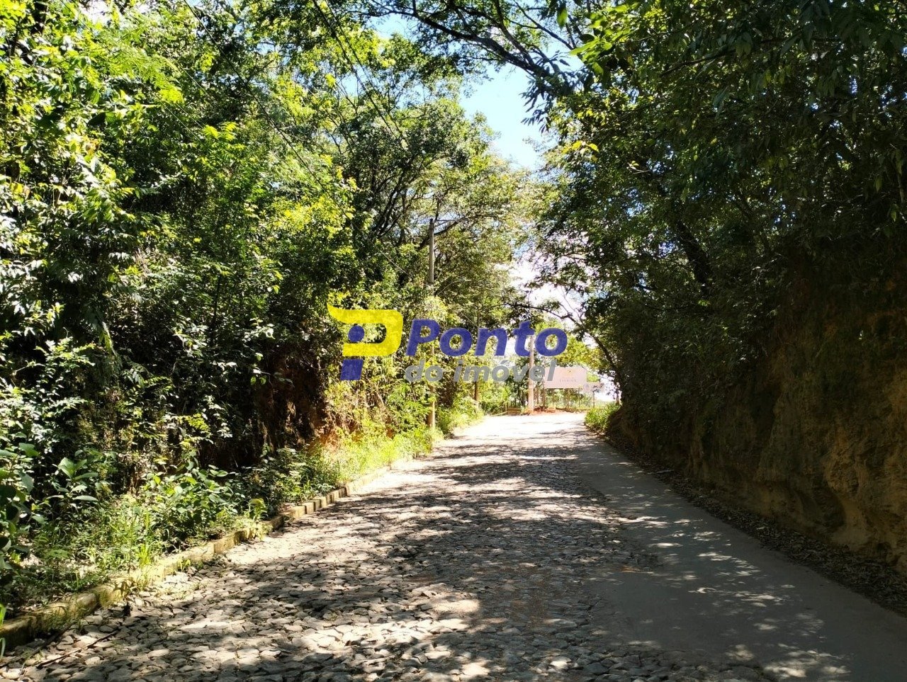 Imagem da propriedade 11038 2