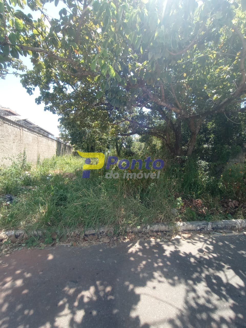 Imagem da propriedade 11089 3