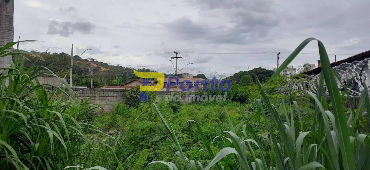 Imagem da propriedade 11144 14