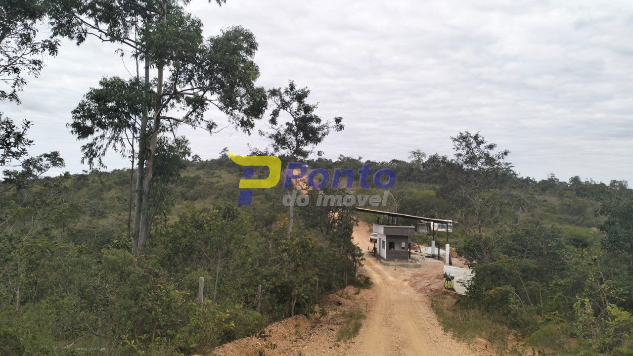 Imagem da propriedade 11162 16
