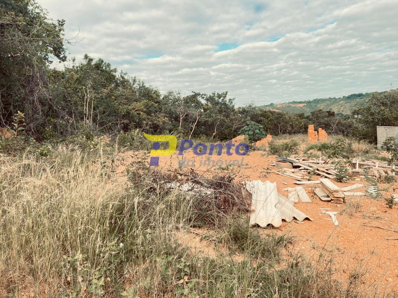 Imagem da propriedade 11192 3