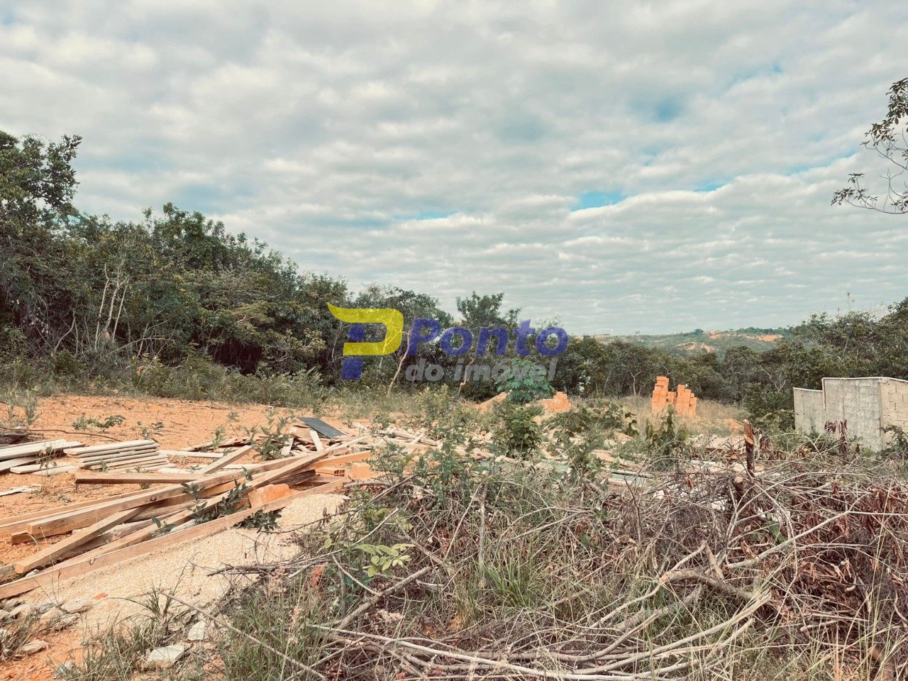 Imagem da propriedade 11192 10