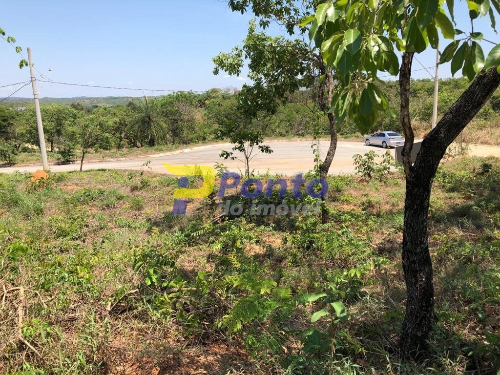 Imagem da propriedade 7962 4