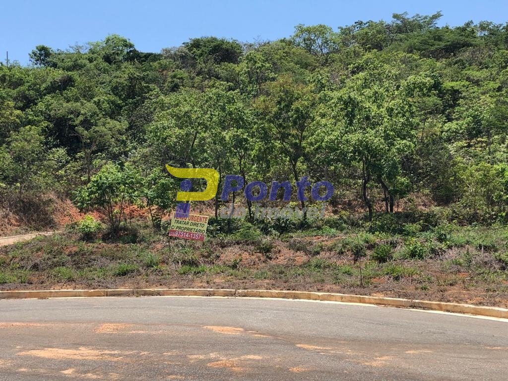 Imagem da propriedade 7962 6