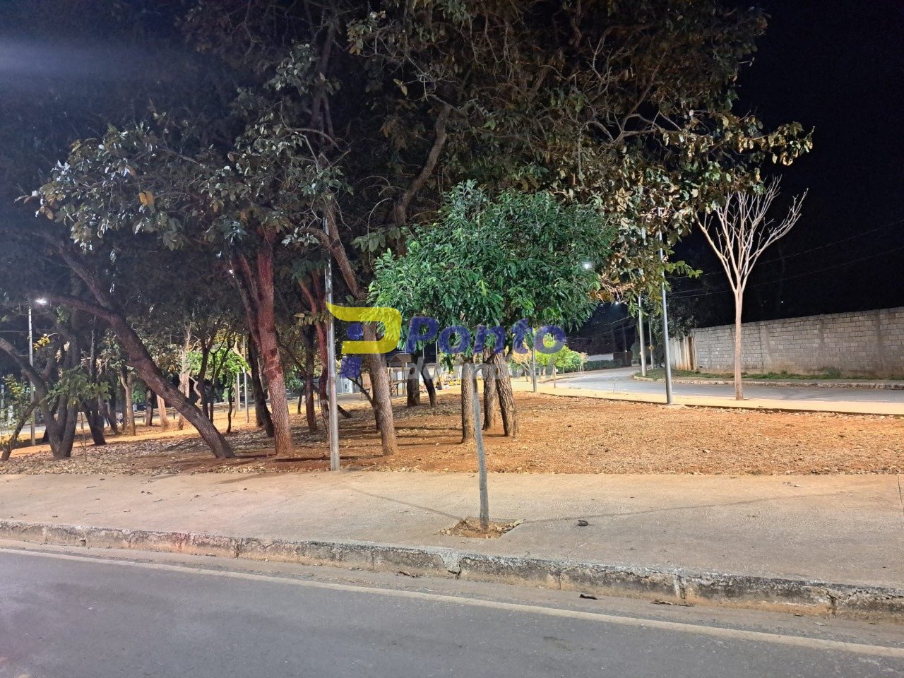 Imagem da propriedade 9946 12